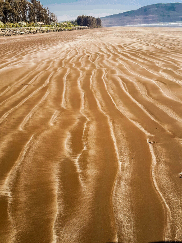 Shrivardhan Beach Pattern 